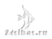 BARBUS Аквариум