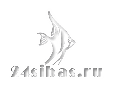 Аквариум шестигранный для петушков с перегородкой 6 л