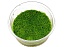 Riccia fluitans/ Риччия флуитанс